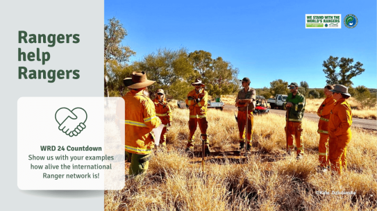 UK Rangers help Rangers across the globe with volunteering and knowledge exchange