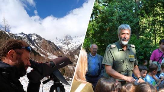 Two Rangers, Two Projects: Coexistence with wolves and wild boar